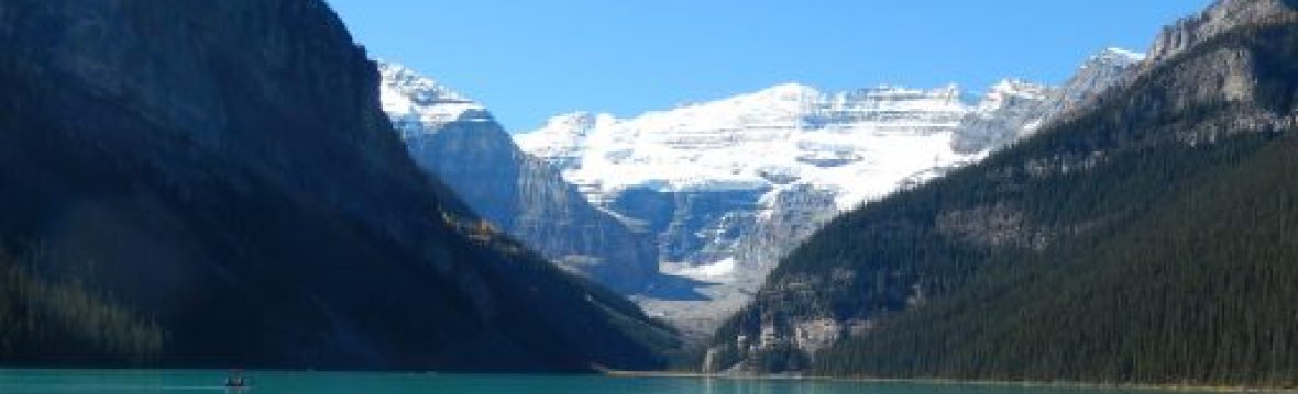 A NEW temporary update from N50