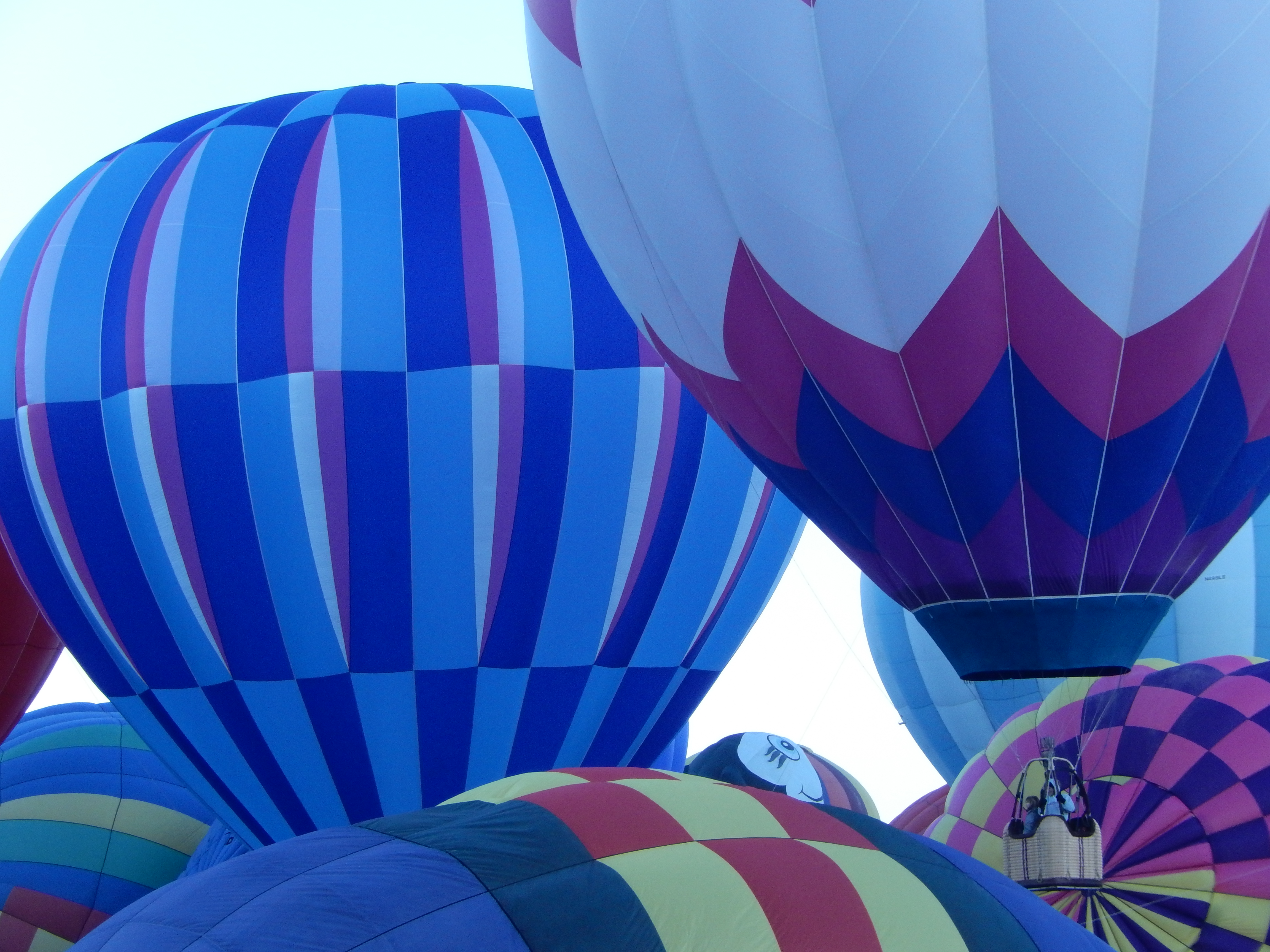 Up, Up, and Away: Awesome Albuquerque Balloon Fiesta