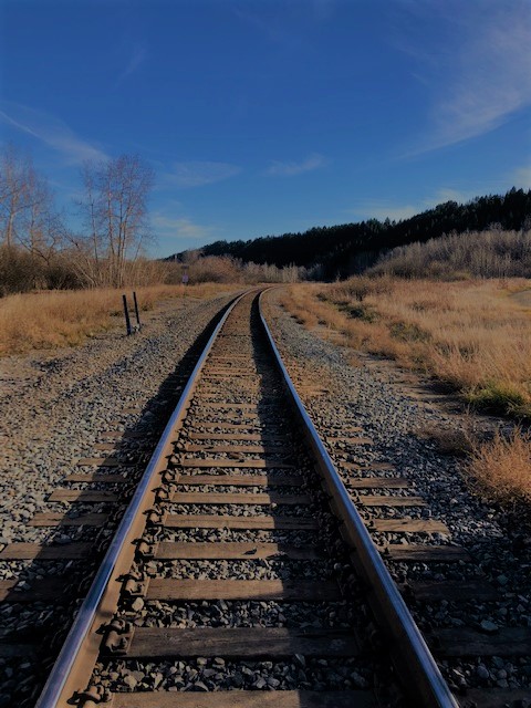 Driving the Train…